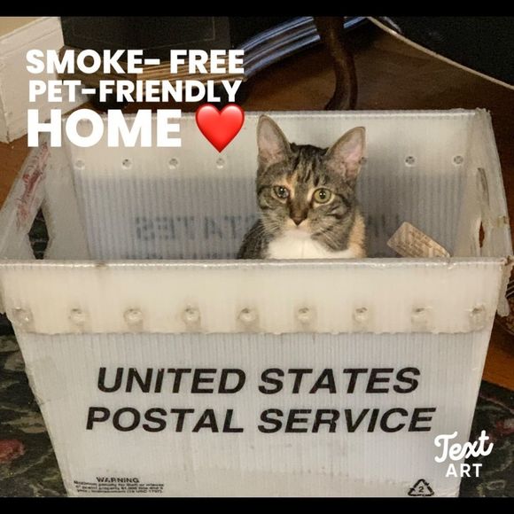 Other - Smoke-free, pet-friendly home ❤️